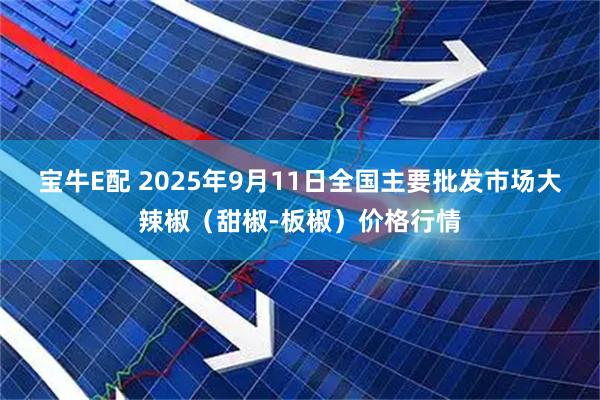 宝牛E配 2025年9月11日全国主要批发市场大辣椒（甜椒-板椒）价格行情