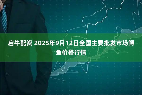 启牛配资 2025年9月12日全国主要批发市场鲟鱼价格行情
