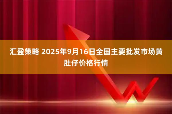 汇盈策略 2025年9月16日全国主要批发市场黄肚仔价格行情